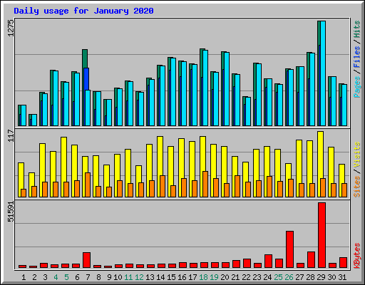 Daily usage for January 2020