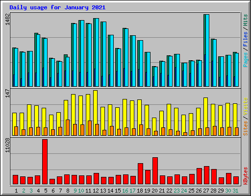 Daily usage for January 2021