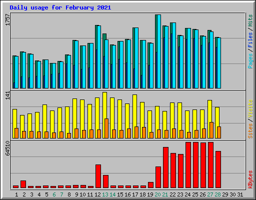 Daily usage for February 2021