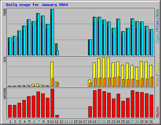 Daily usage for January 2024