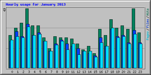 Hourly usage for January 2013