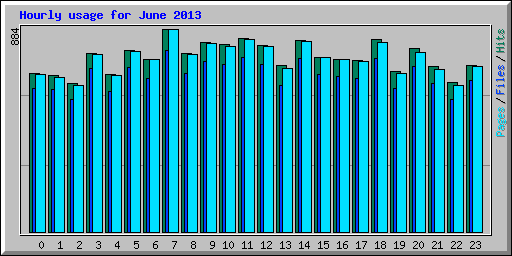 Hourly usage for June 2013