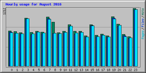 Hourly usage for August 2016