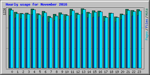 Hourly usage for November 2016