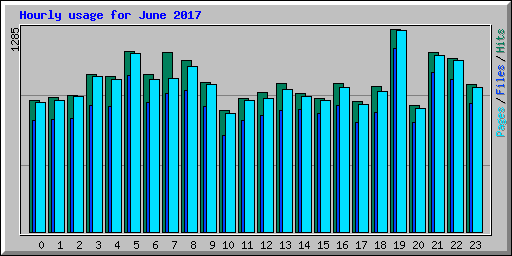 Hourly usage for June 2017