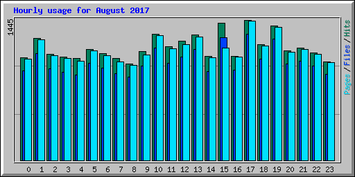 Hourly usage for August 2017