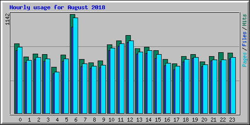 Hourly usage for August 2018