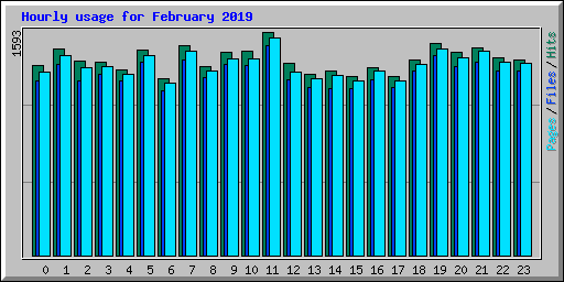 Hourly usage for February 2019