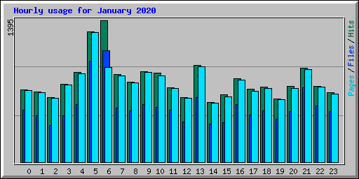 Hourly usage for January 2020