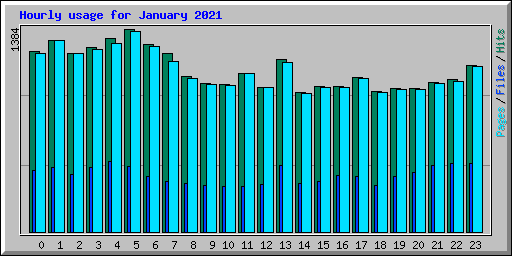 Hourly usage for January 2021