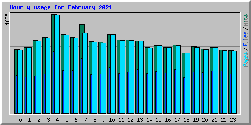 Hourly usage for February 2021