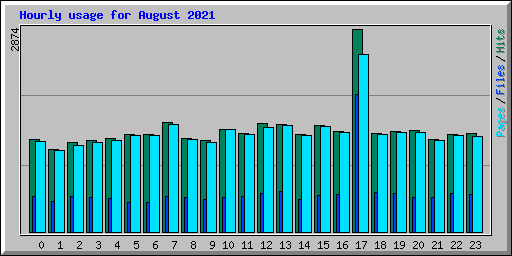 Hourly usage for August 2021