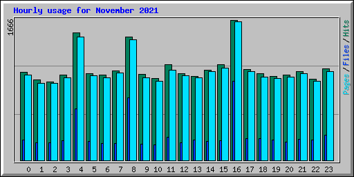 Hourly usage for November 2021