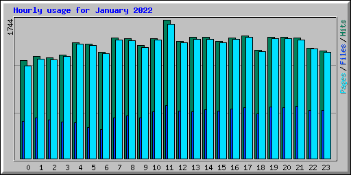 Hourly usage for January 2022