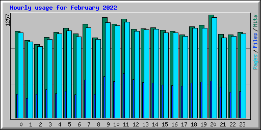 Hourly usage for February 2022