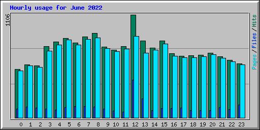 Hourly usage for June 2022