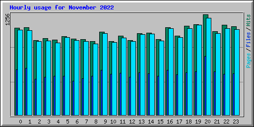 Hourly usage for November 2022