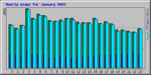 Hourly usage for January 2023