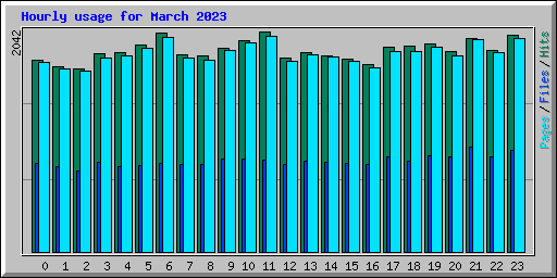 Hourly usage for March 2023