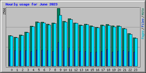 Hourly usage for June 2023