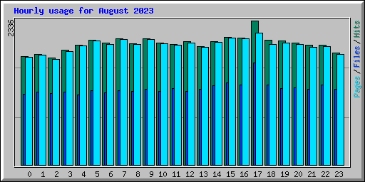 Hourly usage for August 2023