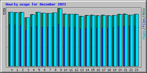 Hourly usage for December 2023