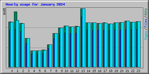 Hourly usage for January 2024